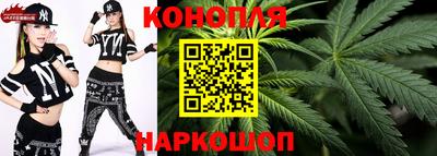 ешки Новозыбков