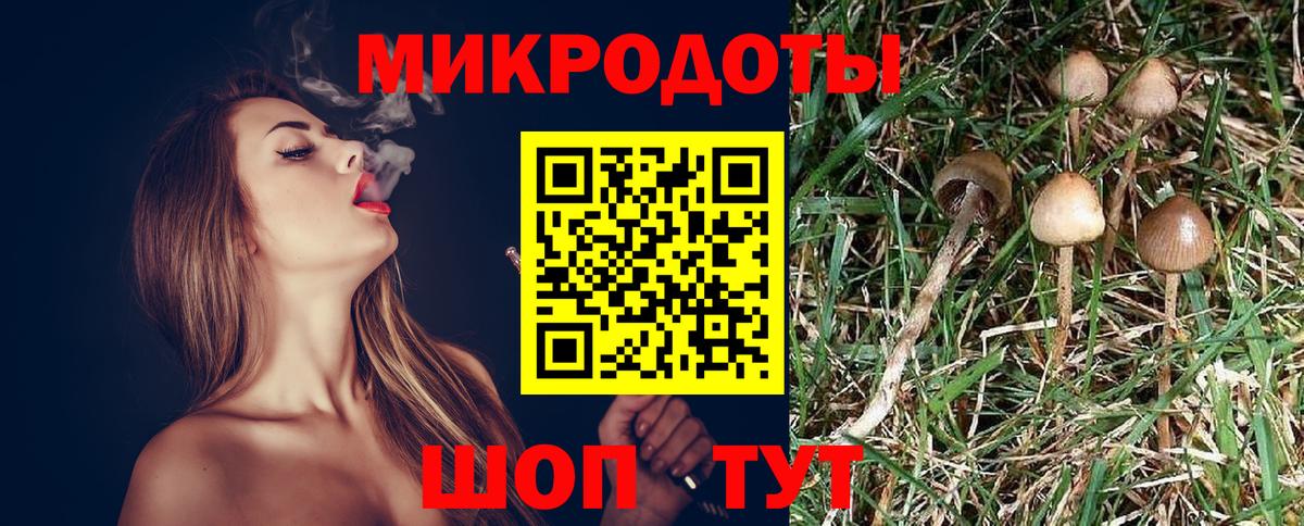 Тимашёвск  Псилоцибиновые грибы мухоморы  Вход с VPN 